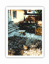 projekt_1_13.gif
